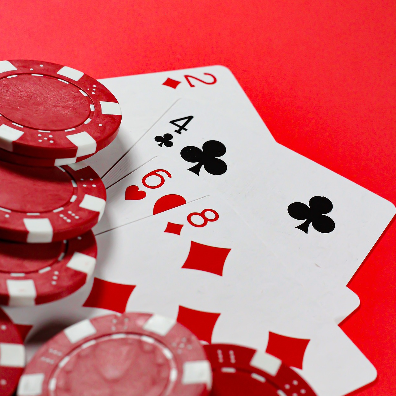 55bet cassino